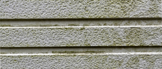 苔の生えた外壁