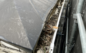 ゴミの溜まった雨樋