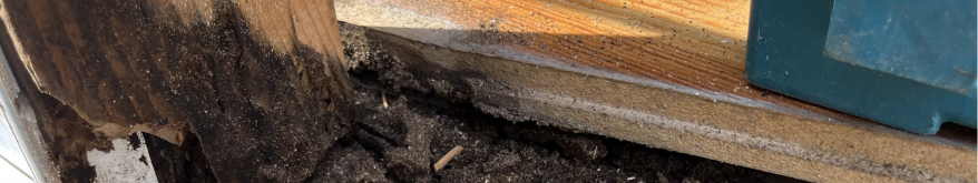 木製窓サッシが腐食している様子