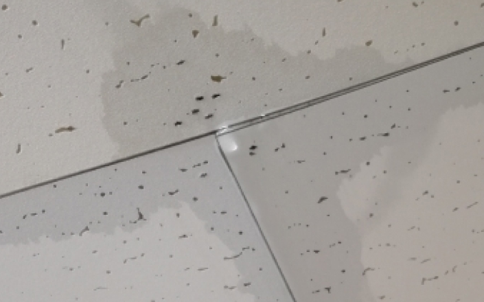 天井に染みている雨水