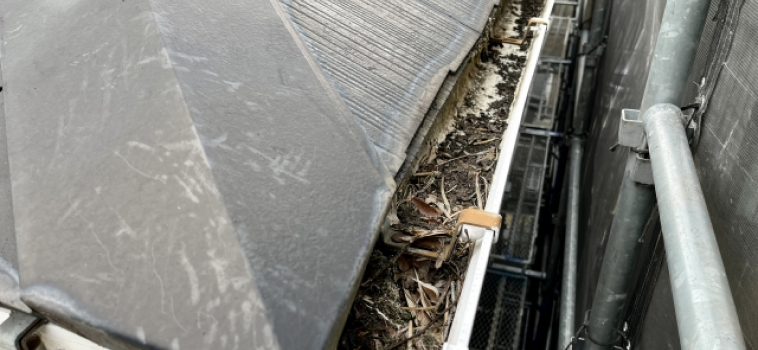 ゴミが溜まった雨どいの様子