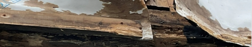 野地板が腐食している様子