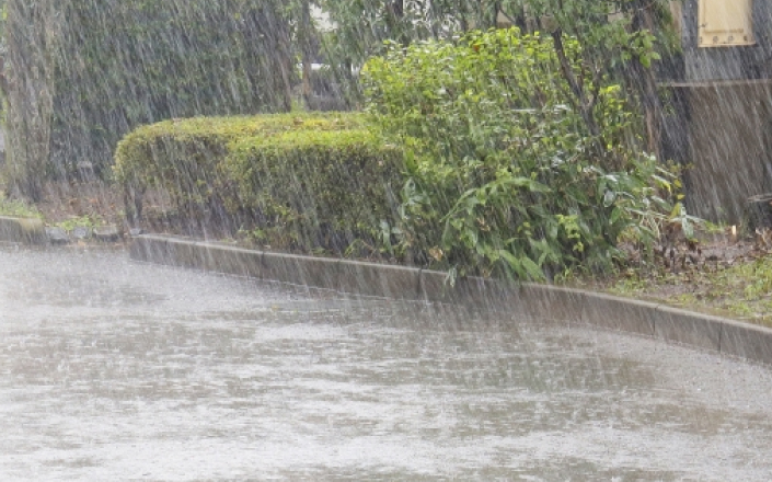 雨が降っている様子