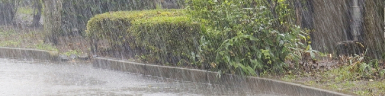 雨が降っている様子