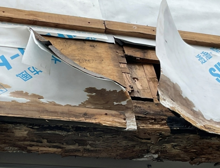 屋根の下地が腐食している様子