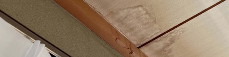 雨漏りしている天井