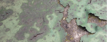 劣化した防水層