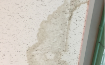 雨漏りしている天井